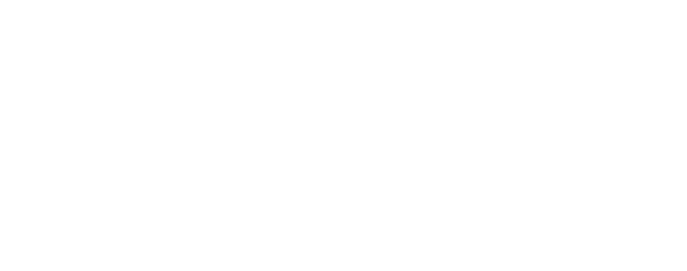 Partner federation