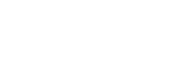 Partner federation